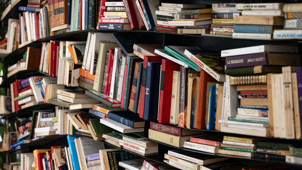 Featured image AI trains on shredded books tech giants secretly buy them up