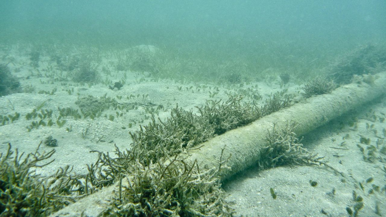 Featured image Oregon funds schools by charging for undersea cable use