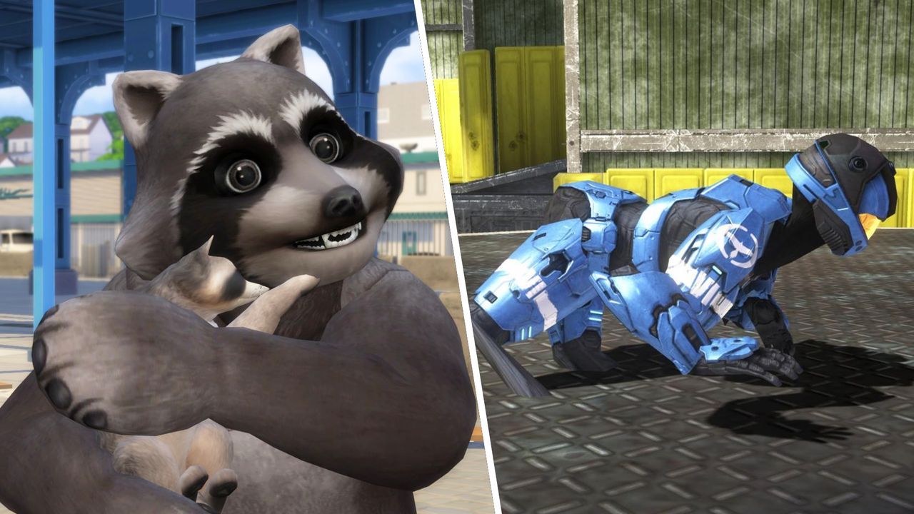 Featured image Jimothy the round raccoon breaks into games