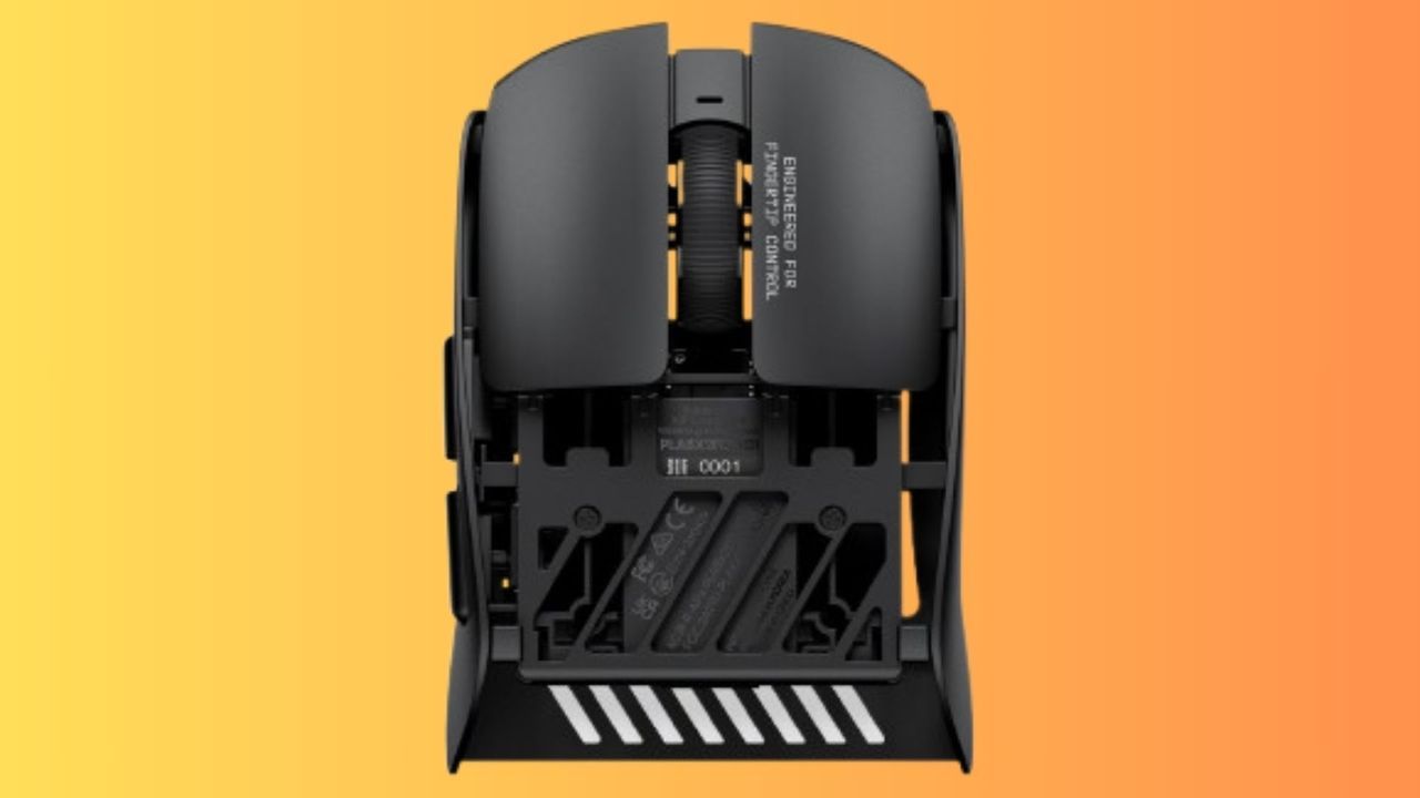 Featured image Mouse sliced in half for crazylight performance