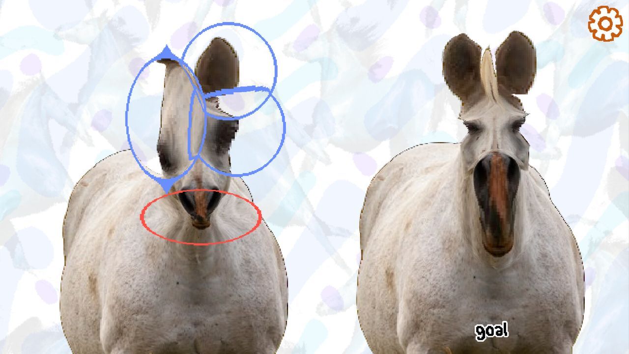 Featured image Horse Magnifier magnify the world of horses