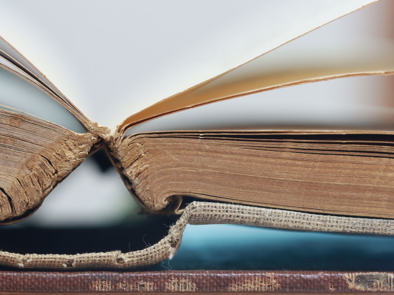 Featured image Amazon destroys rare books for AI training