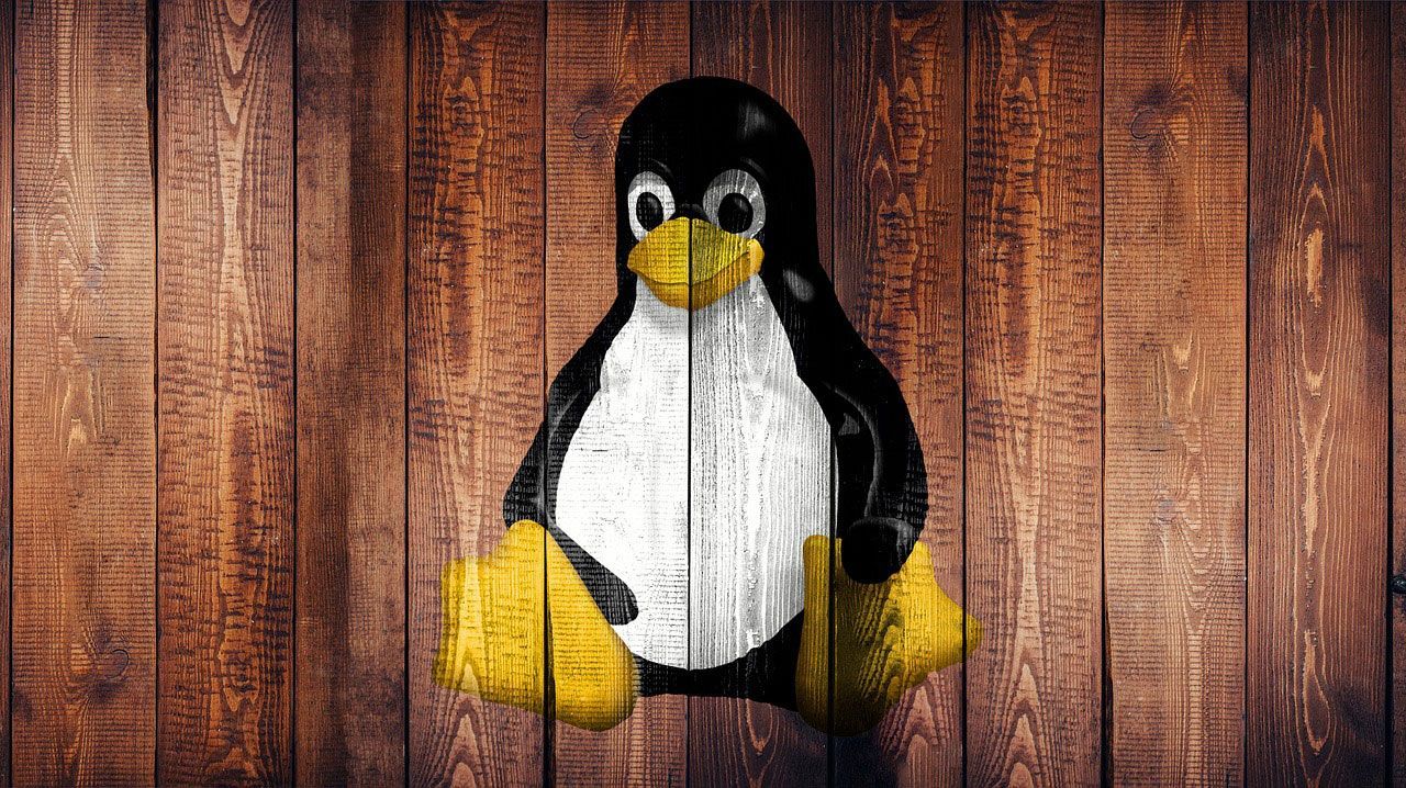 Featured image Linux avoids age verification but SteamOS is in danger